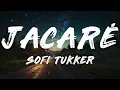 Sofi Tukker - Jacaré (Lyrics)