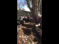 Composting for kids