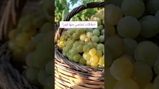 انهى العلاقات دى دلوقتى سامعة  دندنها