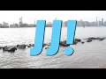 HAPPY BIRTHDAY JJ! This is your gift.
