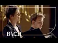 Download Lagu Bach - Cantate Mein Gott, wie lang, ach lange - Sato | Nederlandse Bachvereniging