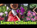 Spring Collections Of Plants In Lowes store Must Buy Plants Beautiful Spring Collections Of Flowers