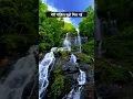 Download Lagu Yeh Haseen Vadiyan Yeh Khula Aasaman | Roja #short #oldsong #90s #tranding #viral #lyrics