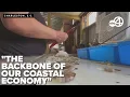 Mace reintroduces bill aimed at protecting South Carolina s fishing industry