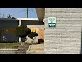 NORTH DETROIT - MOUND ROAD