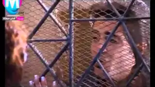 محمد وحيد تعرف تمشي دندنها
