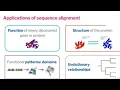 Bioinformatics Sequence Alignment Pairwise Multiple sequence alignment Full Explanation Demo