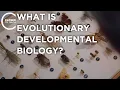 What is Evolutionary Developmental Biology Episode 2303 Closer To Truth