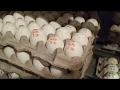 UW Poultry Program s Future Uncertain