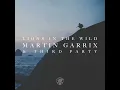Martin Garrix & Third Party - Lions In The Wild (Extended Mix)