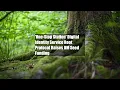 One-Stop Station Digital Identity Service Root Protocol Raises 10M Seed Funding