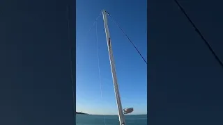 Salvaging a Sunken Sailboat … teaser for Saturday! #shorts #sailboat #salvage