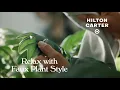 Hilton Carter for Target Styling with Faux Plants