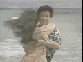 陳百潭 - 愛情一陣風