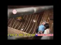 Download Lagu Tasya Rosmala - Muara Kasih Bunda [Official Video]