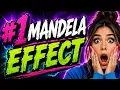 BRAND NEW MANDELA EFFECT