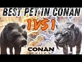 Ultimate pet in Conan Exiles Greater Bear vs Greater Sabertooth - Conan Exiles