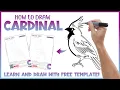 How to Draw Cardinal - Free Worksheet PDF for Tracing Connect the Dots Printable