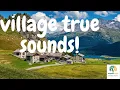 Download Lagu Village Sound Atmosphere/Indian Village Birds Sounds/Sleep and Relax Nature Sounds.