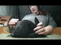 Evaluating a Litter of Rex Rabbits 7 weeks