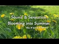 Sound Sensation Sample EVENT MAY 26 8 PM PDT