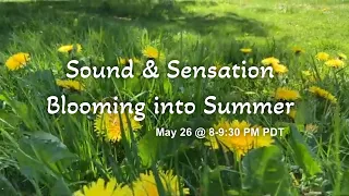 Sound Sensation Sample EVENT MAY 26 8 PM PDT