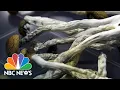 How Magic Mushrooms Could Help Smokers Quit For Good