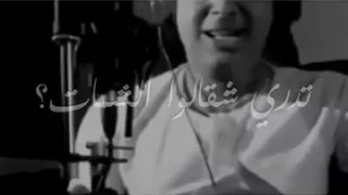 تدري شقالوا الشمات S 