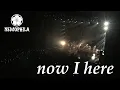NEMOPHILA / now I here [Official Live Video]