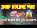 Download Lagu Inap koloni twb sangat joss