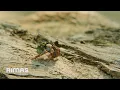 Download Lagu BAD BUNNY ft. Chuwi - WELTiTA (Video Oficial) | DeBÍ TiRAR MáS FOToS