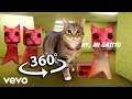 Download Lagu 360° VR OIIA CAT x Ay mi Gatito Miau Miau BACKROOMS tiktok | MONTAGEM MIAU (Letra)