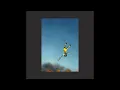 Yeah Yeah Yeahs - Wolf