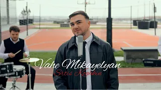 Vahe Mikayelyan -Srtis Koghkin