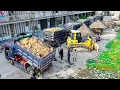 Lagu Nicely Start Project LANDFILL Task! 5TTrucks Unloading Soil \u0026 Dozer KOMATSU D61EX pushing clear land