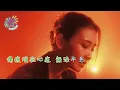 Birdy Fly | KTV 字幕 | 陳忻玥 Vicky Chen