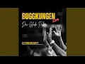 Download Lagu Den Glada Puben (Buggkungen)