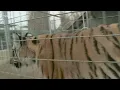 Joe Exotic to be re-sentenced following murder-for-hire plot conviction