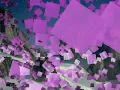Boards of Canada - Peacock tail