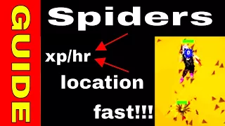 OSRS Ironman Guide to Wilderness Slayer Spiders Task