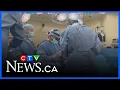 Private surgical contracts in Red Deer Lethbridge cancelled CTV News Red Deer for Dec 5 2025