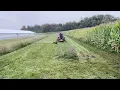 Bad Boy ZT Elite vs Drainage Basin Tall Wet Grass