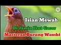 Download Lagu Masteran burung wambi full isian