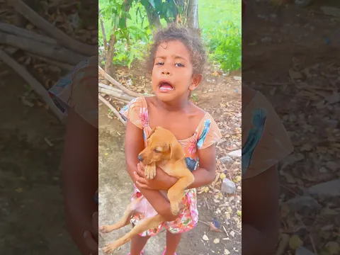 Siempre te voy a cuidar perrito