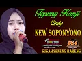 Download Lagu TEPUNG KANJI vocAL CINDY // NEW SOPONYONO // RK AUDIO