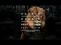 Pray to God (Calvin Harris vs Mike Pickering Haçienda Remix) [Audio] (feat. HAIM) - Calvin Harris