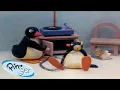 Download Lagu Best Episodes from Season 1 | Pingu - Official Channel | Cartoons For Kids
