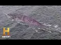 Download Lagu The Proof Is Out There: SHOCKING Loch Ness Monster Sighting (Season 1)