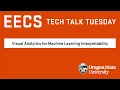 Visual Analytics for Machine Learning Interpretability
