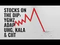 Crashing Stocks YGMZ ADAP UHG KALA CIIT